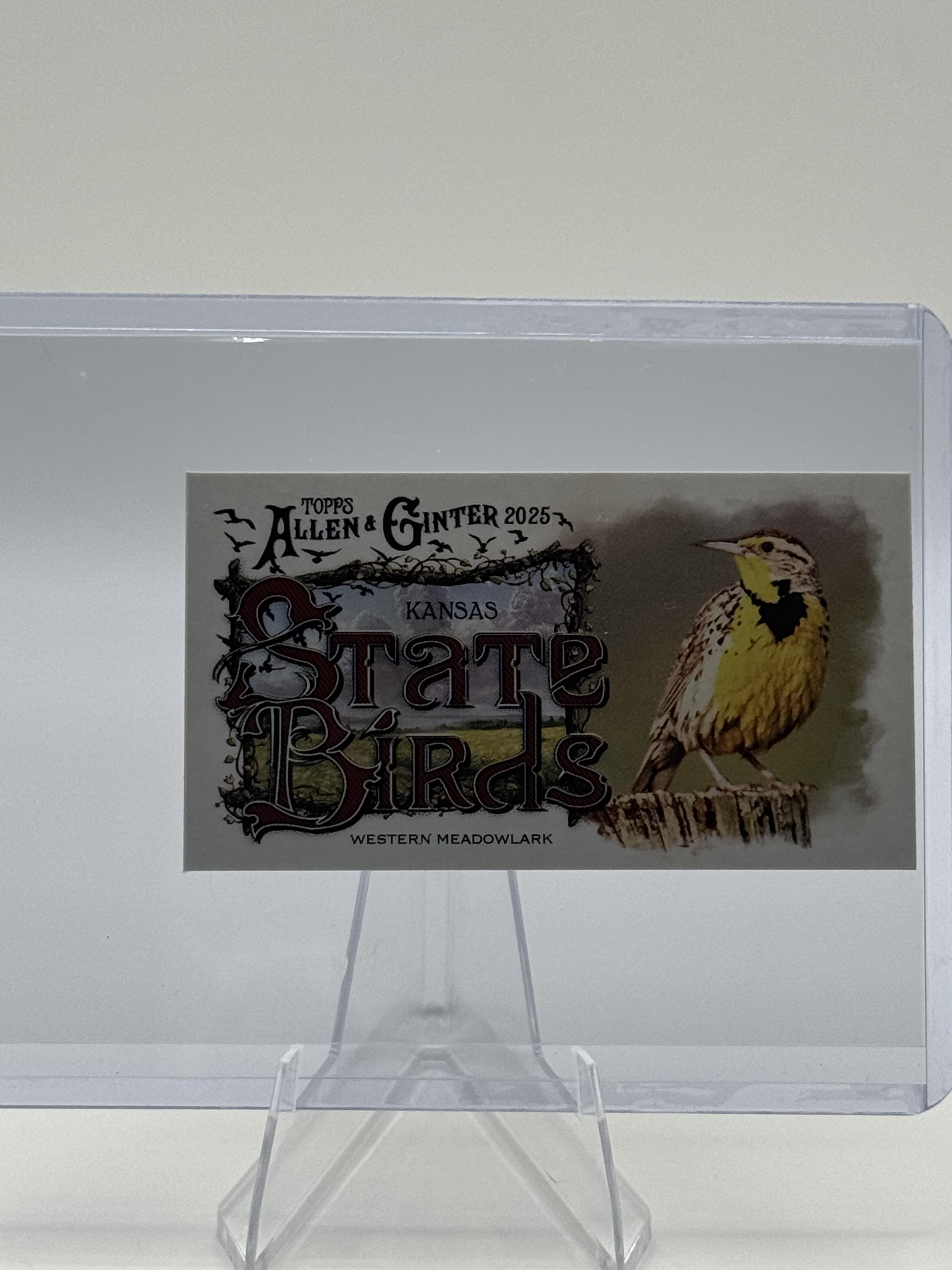 2025 Topps Allen & Ginter #SB-16 Western Meadowlark Mini State Birds
