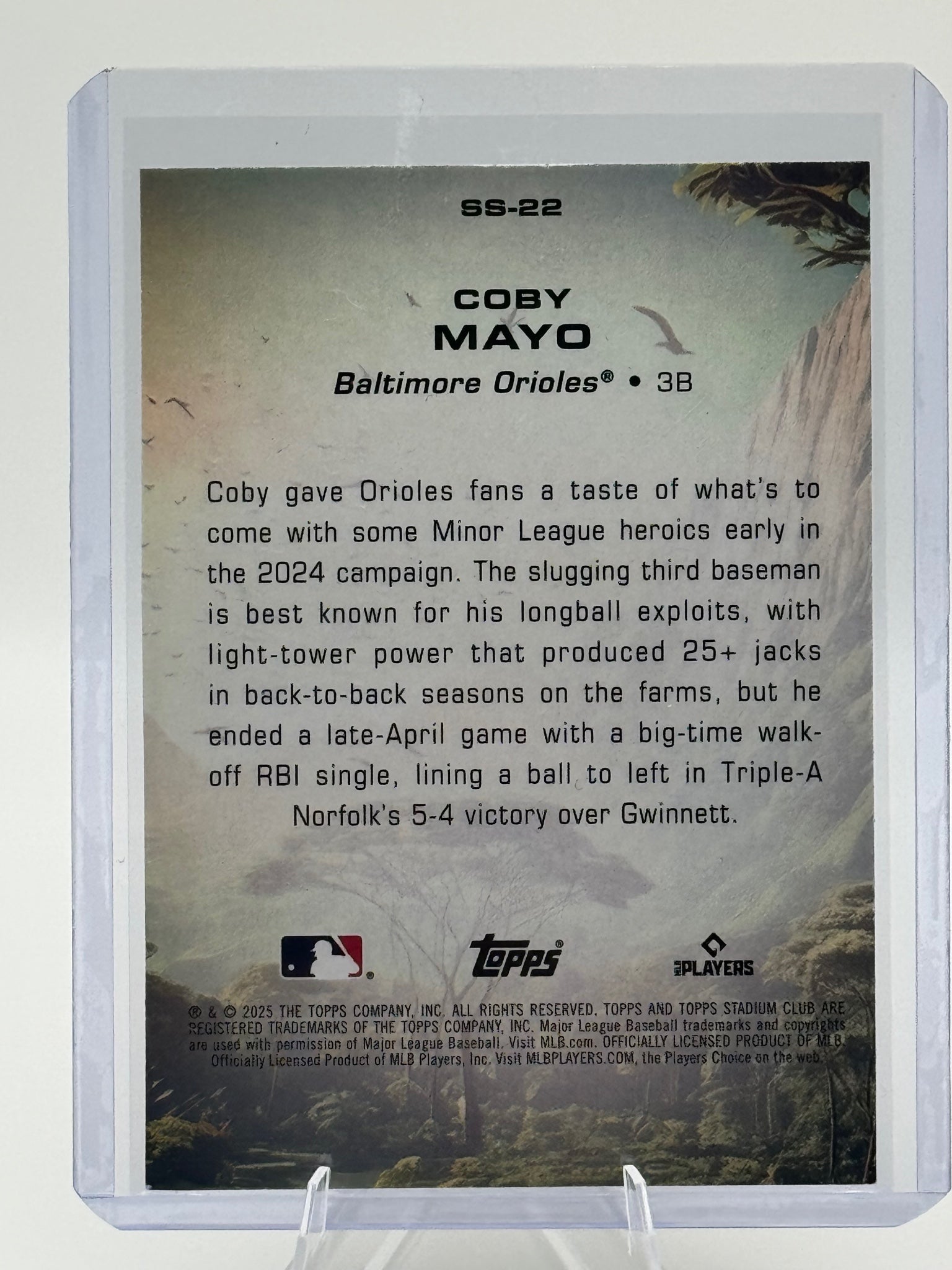 2025 Stadium Club Coby Mayo #SS-22 Savage Sluggers Baltimore Orioles Near Mint